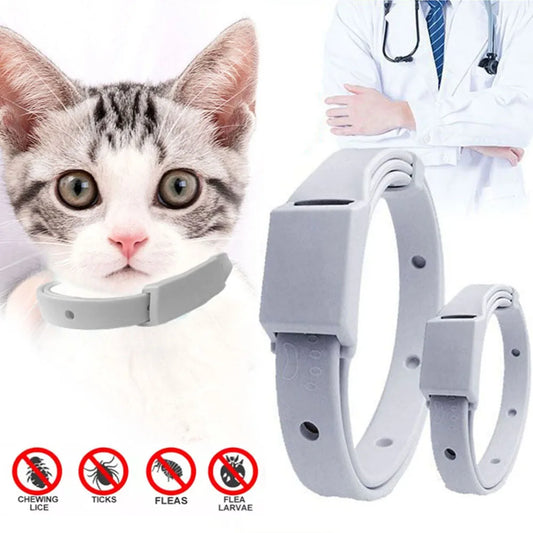 Anti-Flea & Tick Collar for Cats and Small Dogs – 8-Month Protection